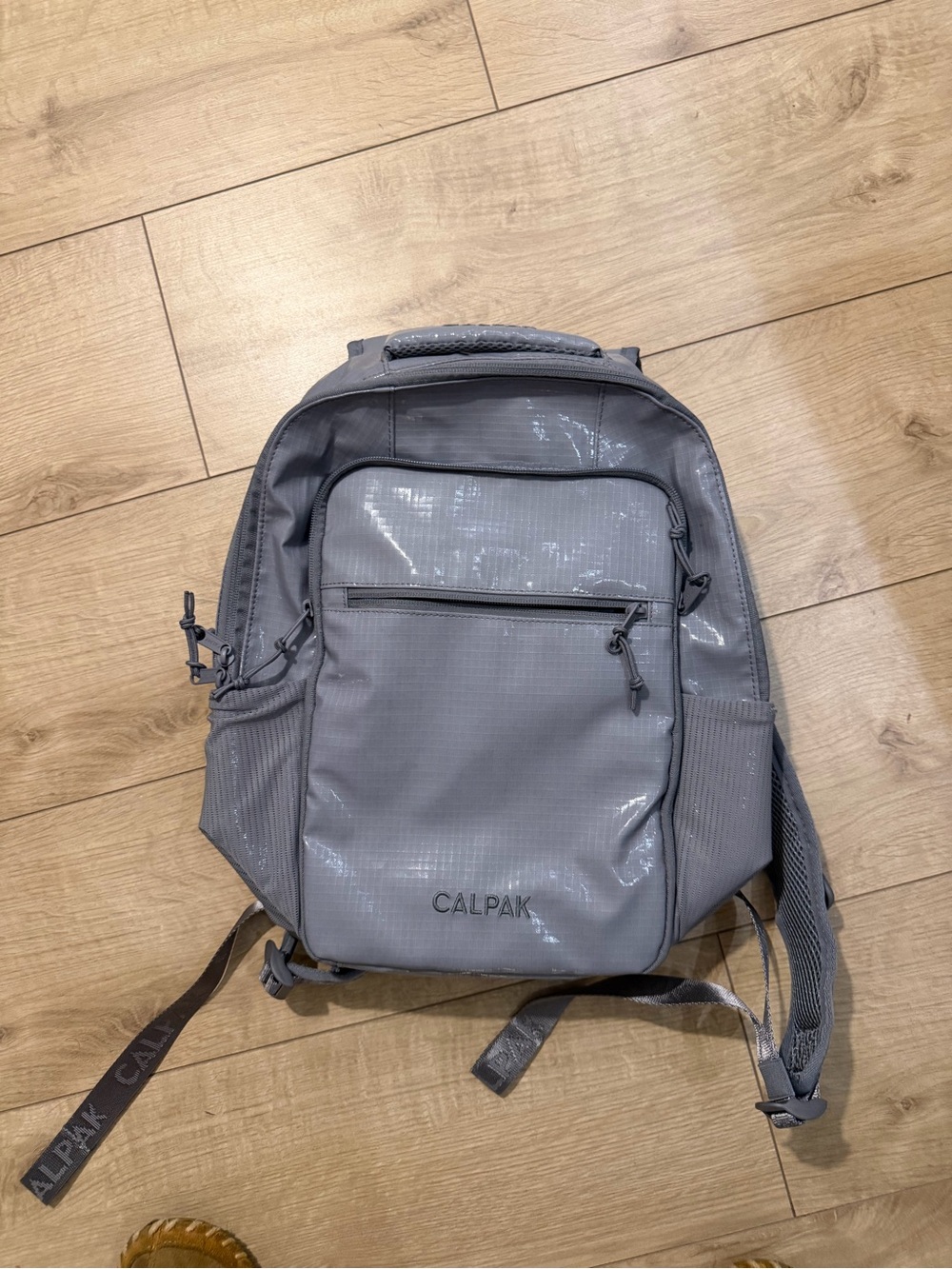 Calpak Gray Men's Tech-Ready Backpack